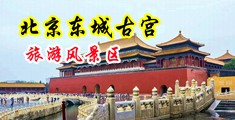 男女操逼视频黄色,免费中国北京-东城古宫旅游风景区